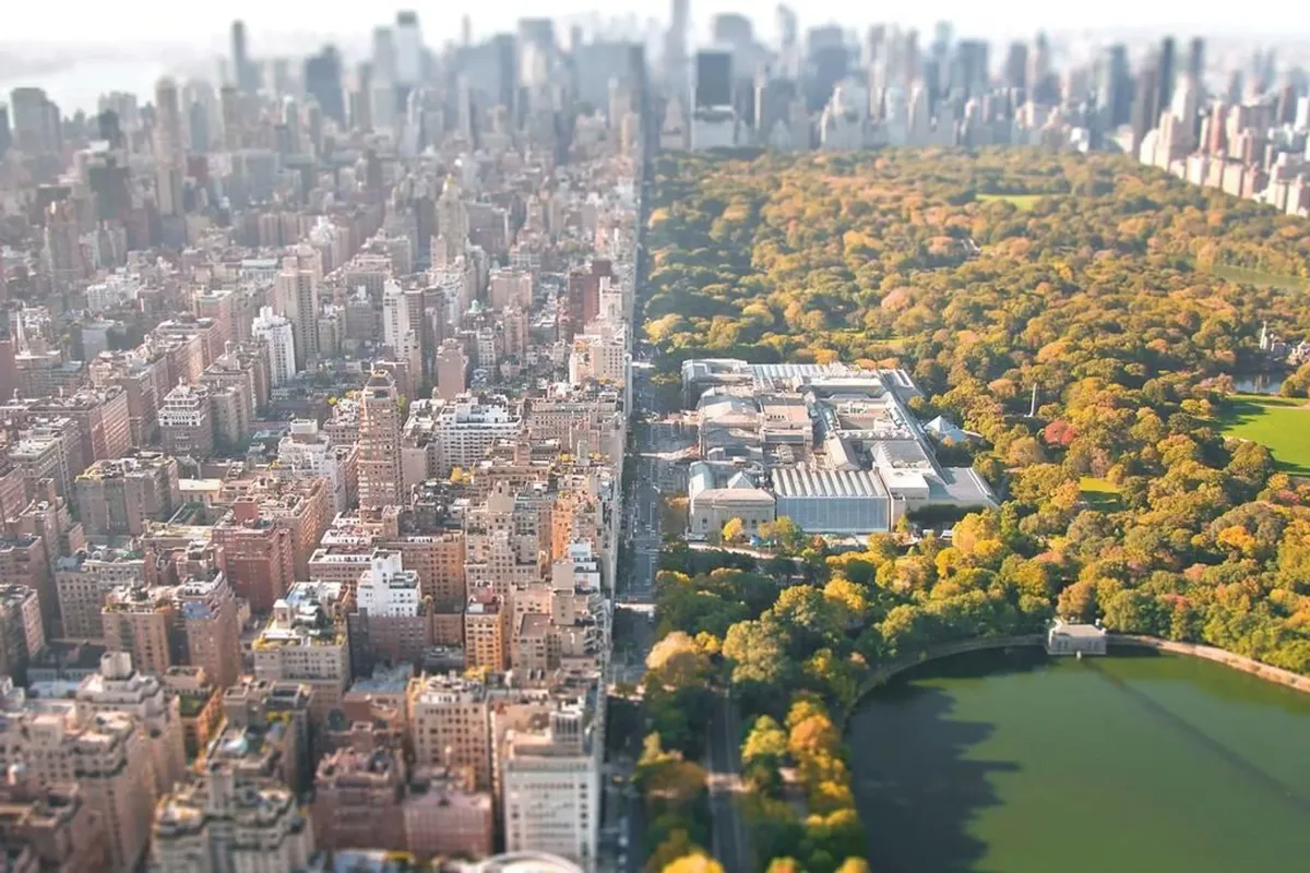 Central Park and surrounding Manhattan streets from above